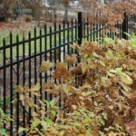 sterling fence, fence installation service, install fence, fencing installation companies, repair sagging fence gate, fence repair companies, fence repair contractors, Minneapolis, twin cities, fence repair service, fencing contractors, chain link fence, vinyl fence, custom fencing, fencing supply company, outdoor fence, privacy fencing, eden prairie, legacy, batten, picket fence, lattice top, solid board, California fence, courtyard fencing, keystone fence, legacy fencing products, jerith ornamental fencing, horse fence, paddock fencing, fencing repair company