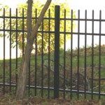 sterling fence, fence installation service, install fence, fencing installation companies, repair sagging fence gate, fence repair companies, fence repair contractors, Minneapolis, twin cities, fence repair service, fencing contractors, chain link fence, vinyl fence, custom fencing, fencing supply company, outdoor fence, privacy fencing, eden prairie, legacy, batten, picket fence, lattice top, solid board, California fence, courtyard fencing, keystone fence, legacy fencing products, jerith ornamental fencing, horse fence, paddock fencing, fencing repair company
